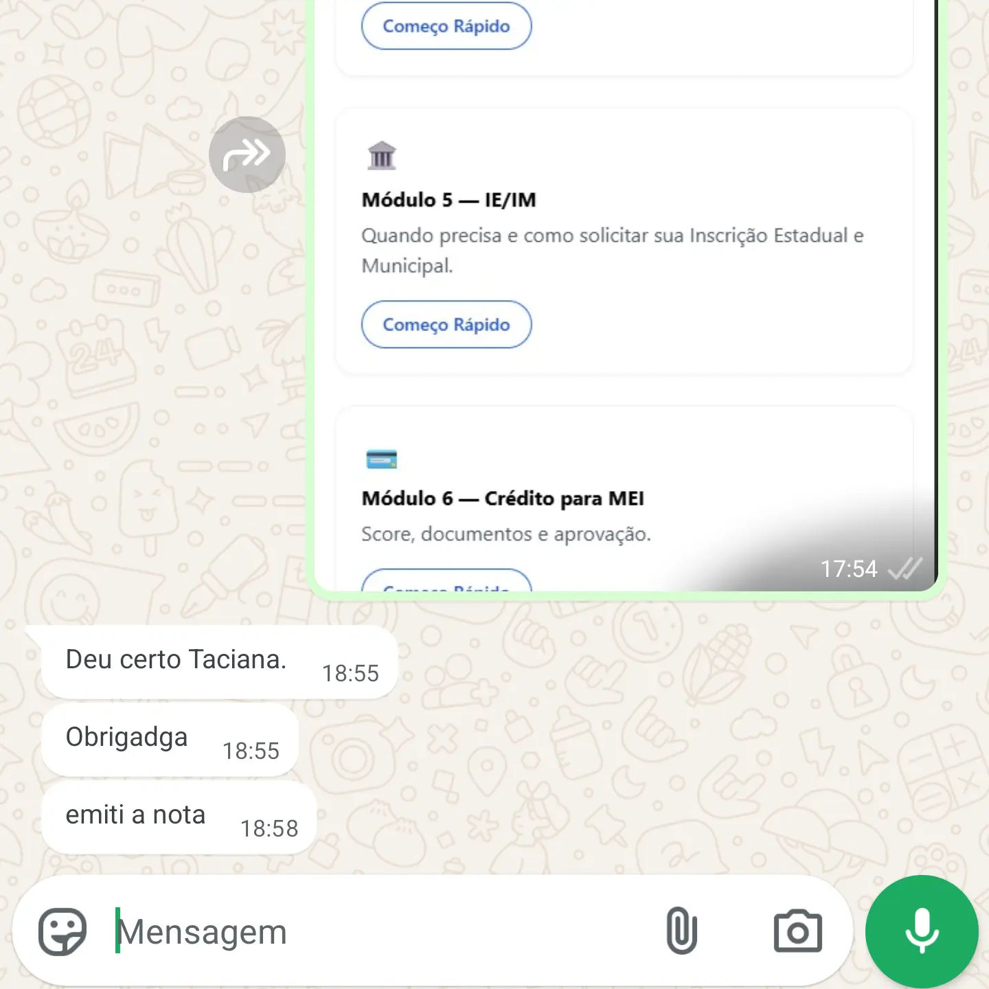 Depoimento WhatsApp 2
